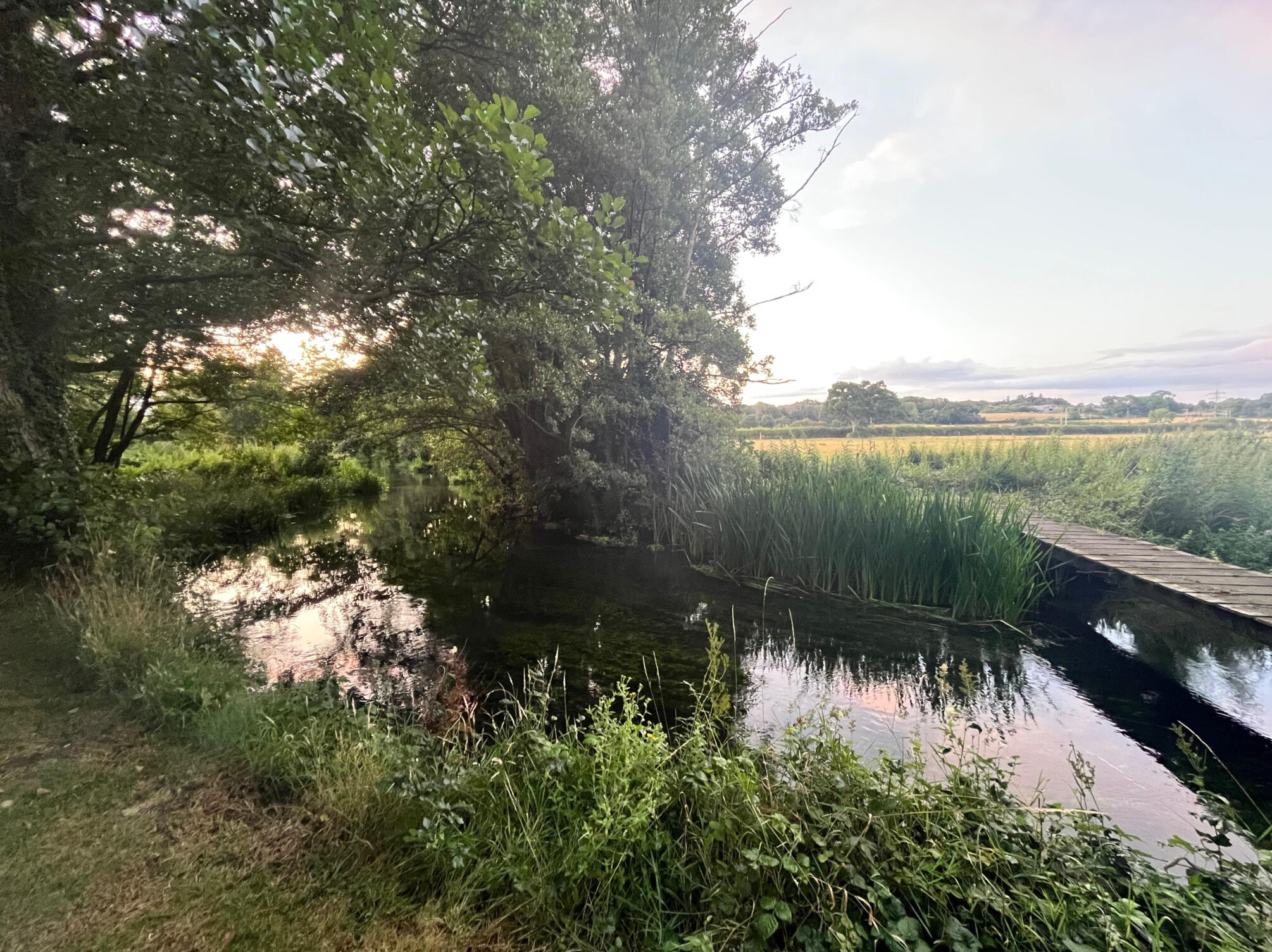 UK riverbank in Hampshire